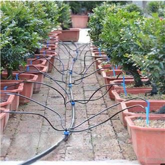 Csepegtető nyíl öntözés