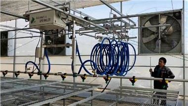 Öntözési gém fiatal növények faiskolákhoz