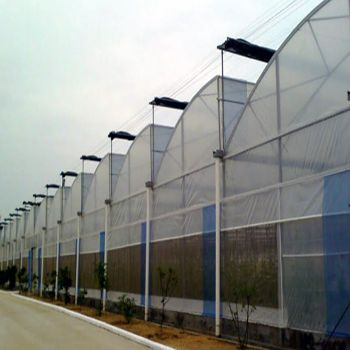 Fűrésztetőfólia üvegház